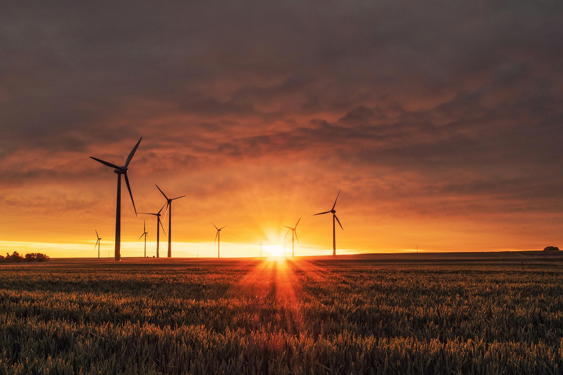 Les énergies renouvelables